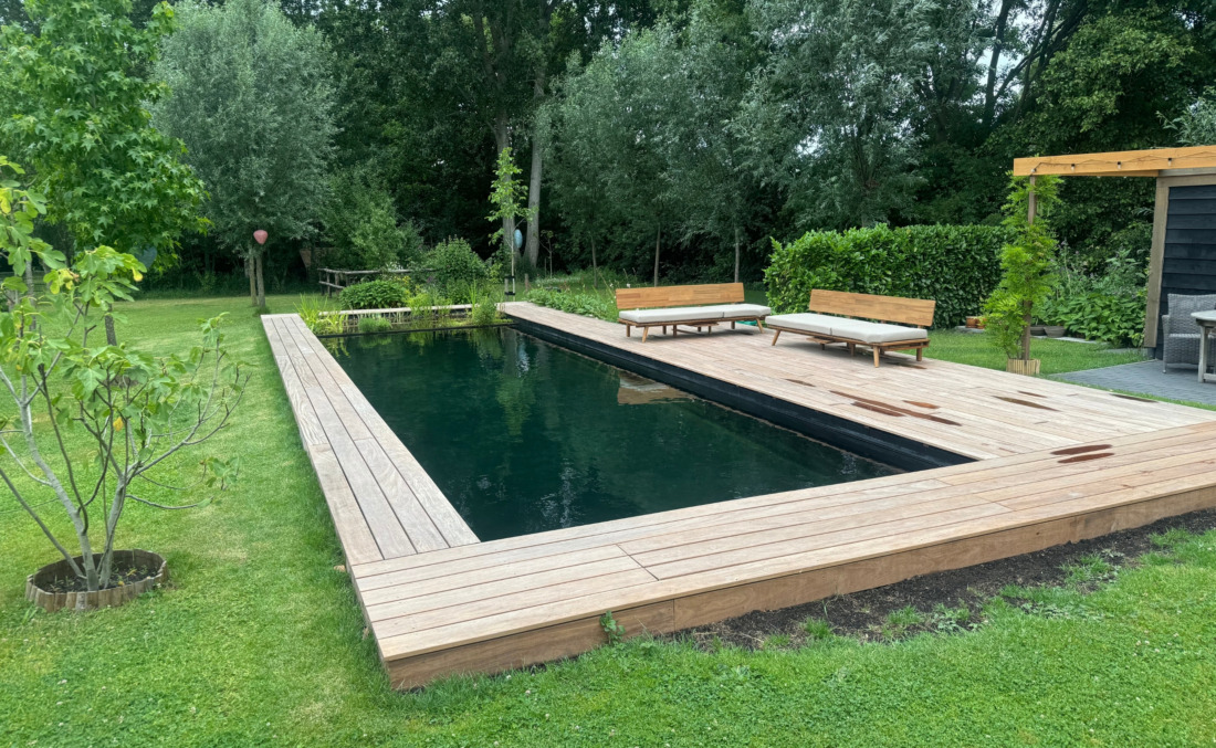 Totaalbeeld van een ecologische zwemvijver gemaakt van HDPE kunststof, omringd door gazon, bomen en een plantenfilter.