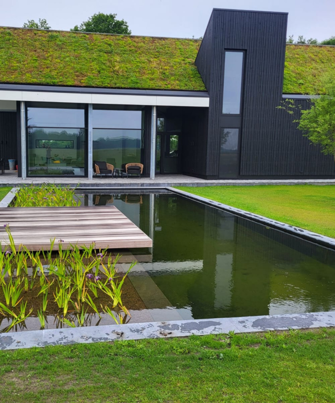 Modern zwart huis met sedumdak en een strakke zwemvijver voorzien van waterplanten en een zwevende houten vlonder.