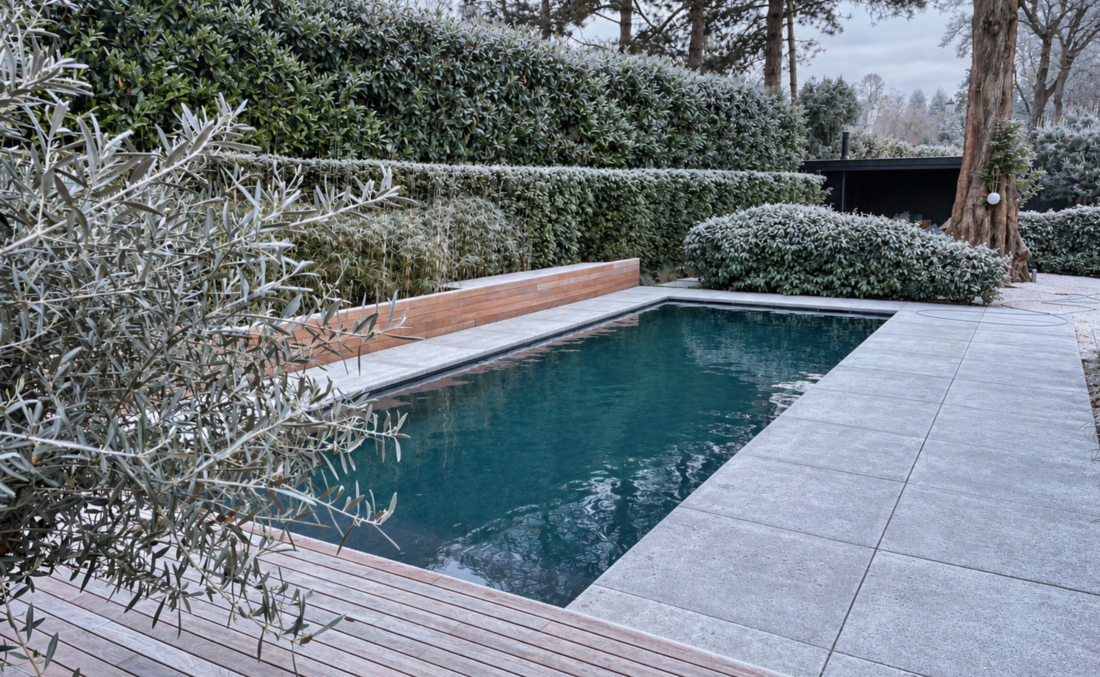 Zwembad in Wintersfeer